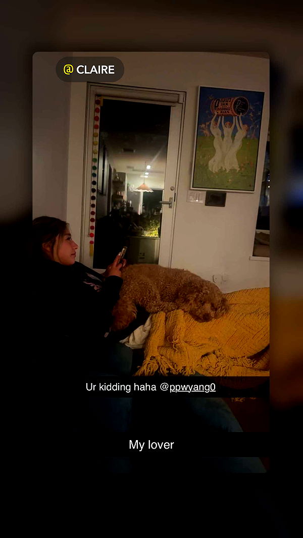 ppwyang0 image ~ Altpins