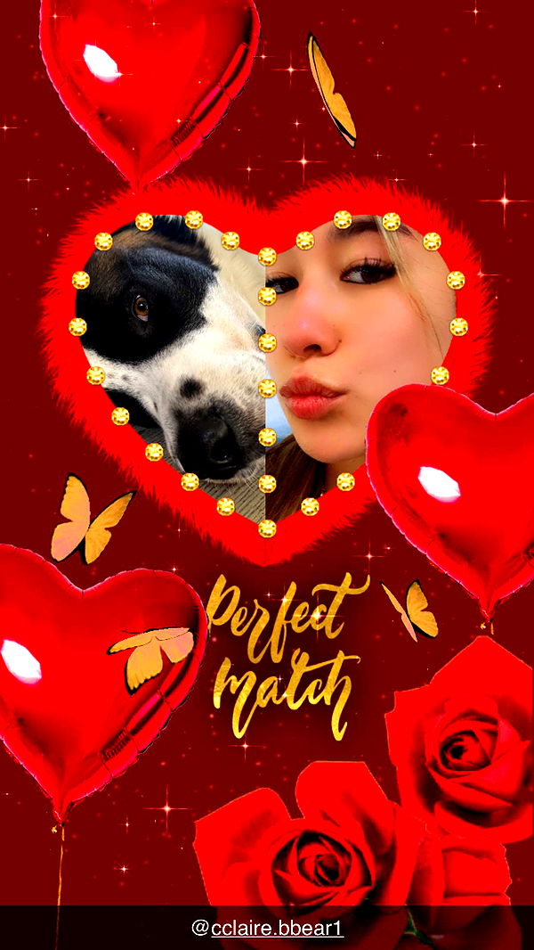 ppwyang0 image ~ Altpins