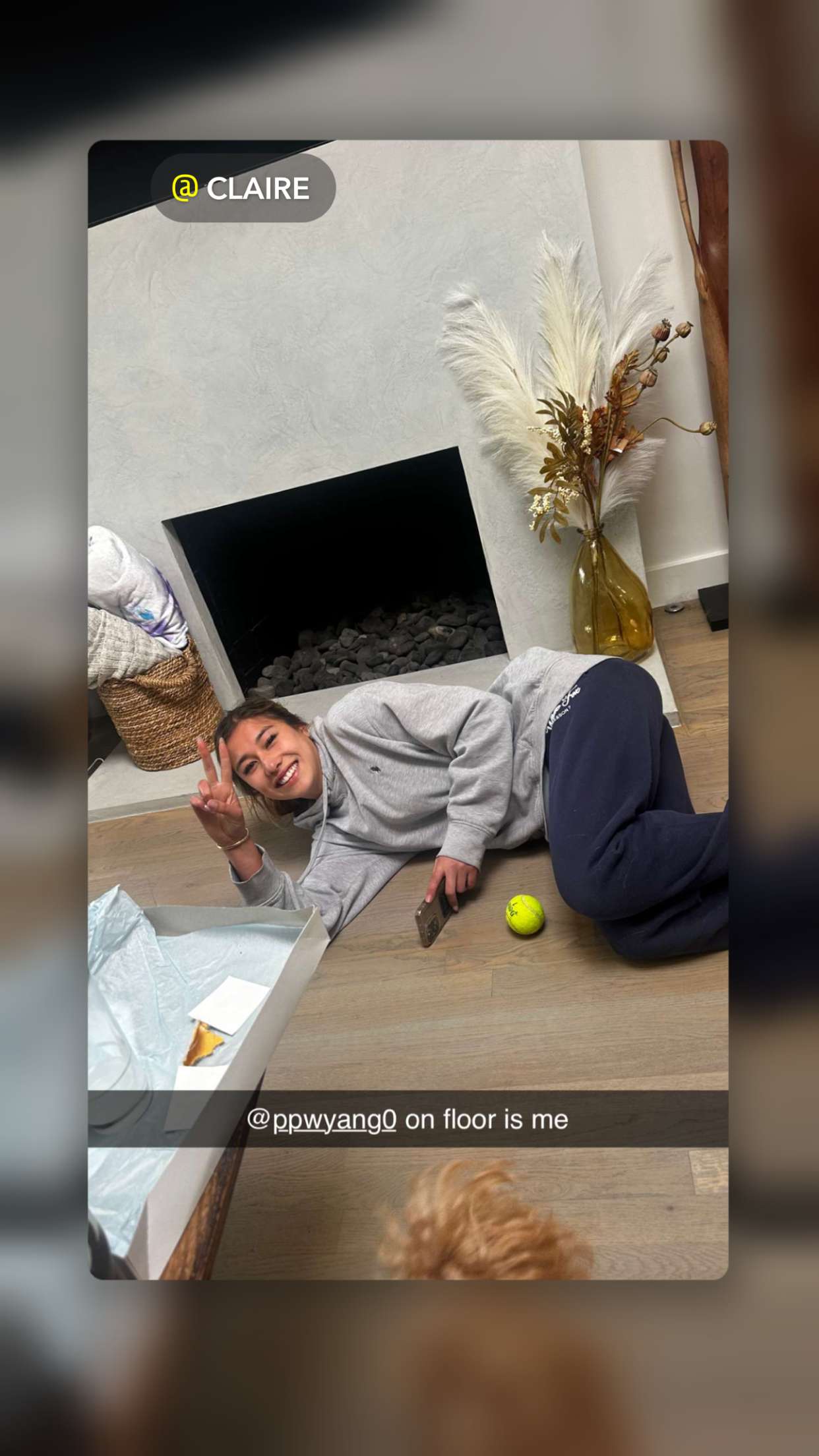 ppwyang0 snapchat image archive image