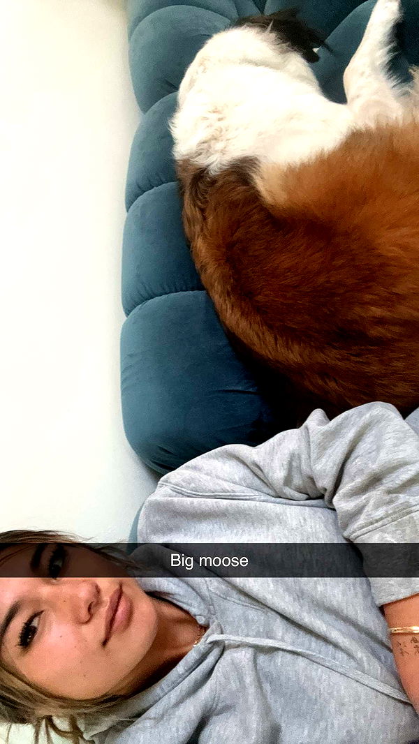 ppwyang0 image ~ Altpins