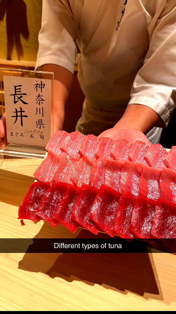 ppwyang0 image ~ Altpins