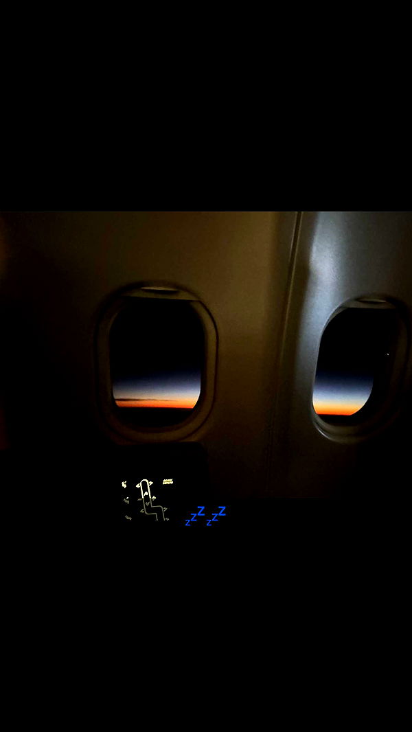 ppwyang0 image ~ Altpins