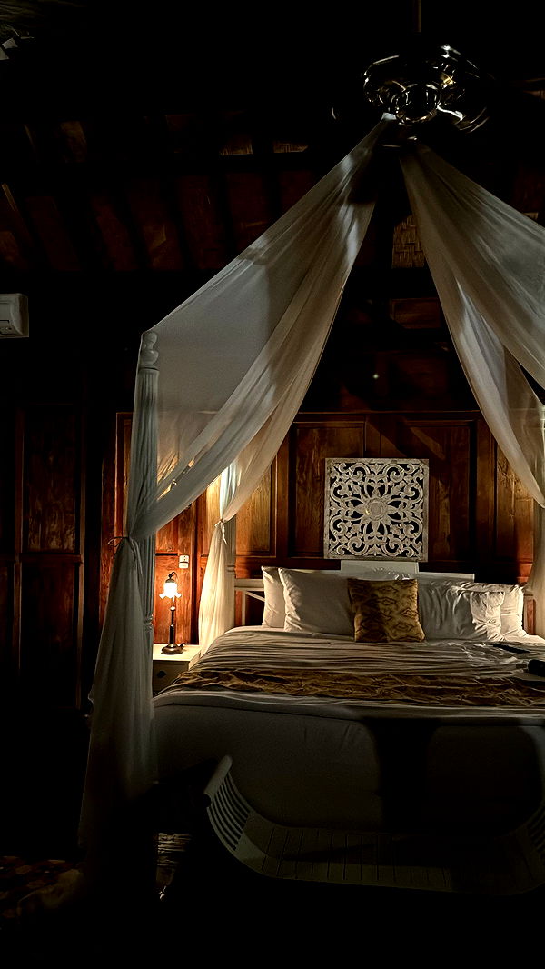 ppwyang0 image ~ Altpins