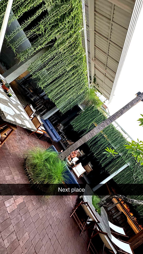 ppwyang0 image ~ Altpins