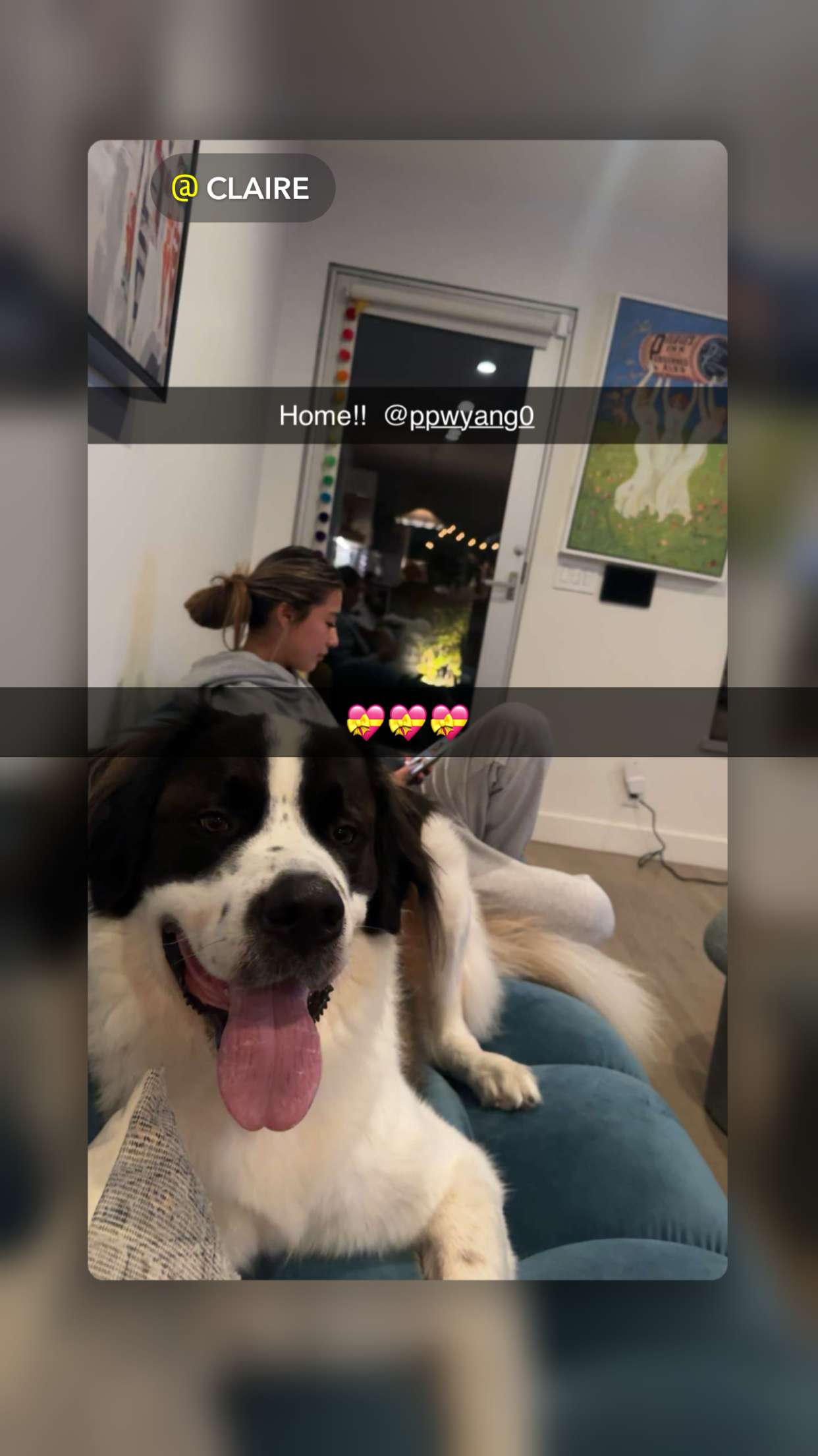 ppwyang0 snapchat image archive image