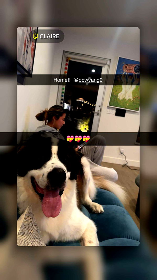 ppwyang0 image ~ Altpins