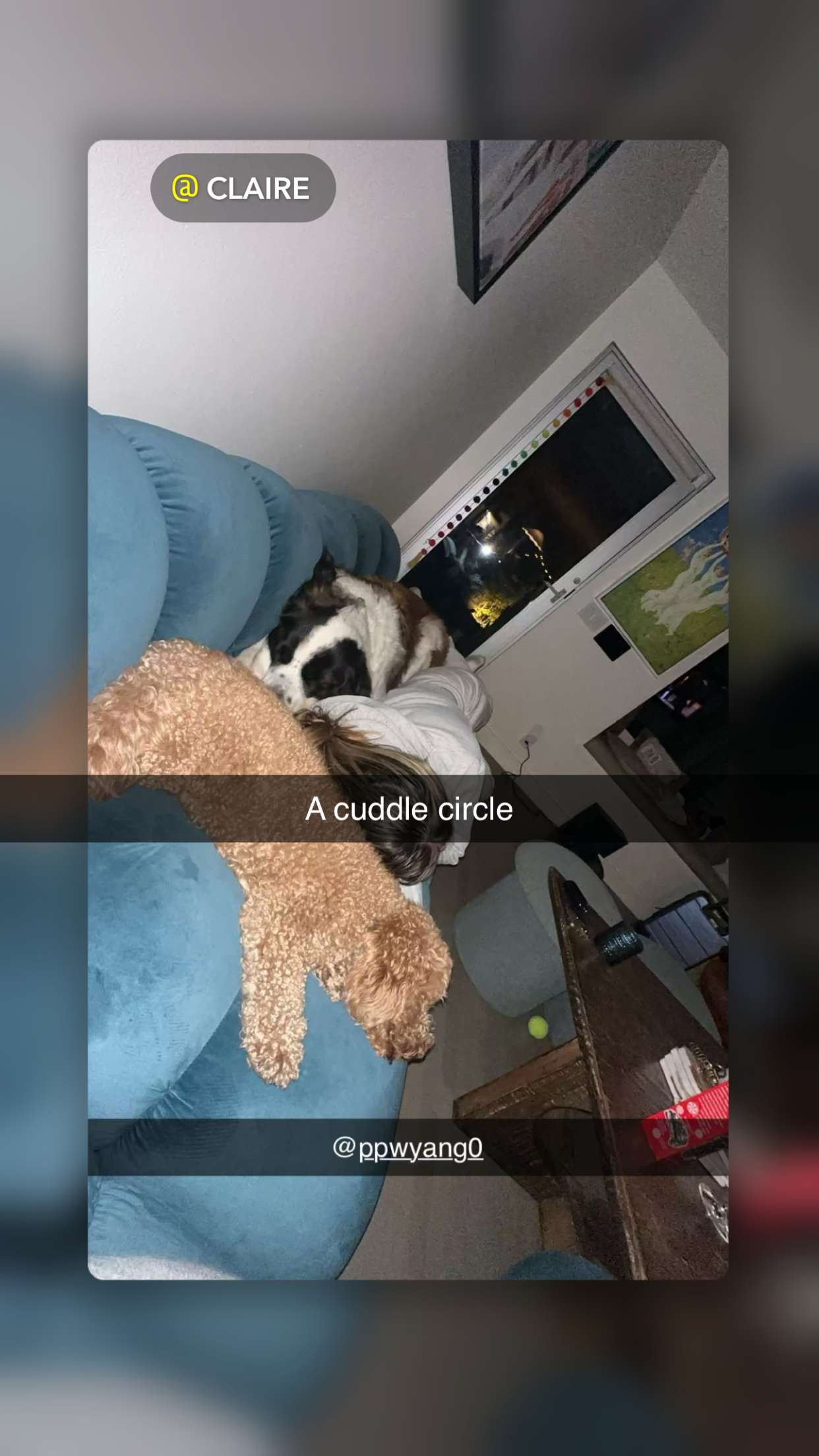 ppwyang0 snapchat image archive image