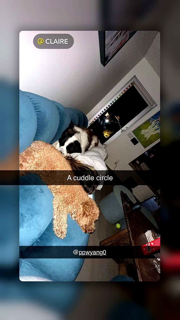 ppwyang0 image ~ Altpins