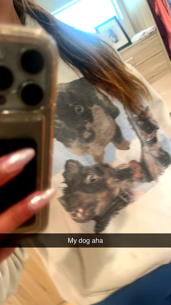 ppwyang0 image ~ Altpins