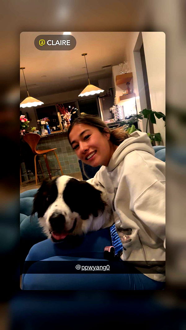 ppwyang0 image ~ Altpins