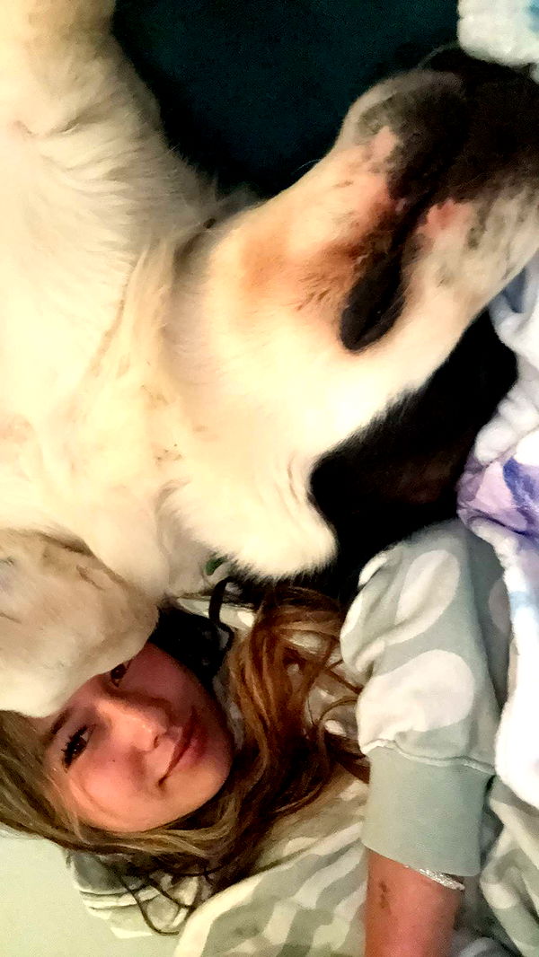 ppwyang0 image ~ Altpins