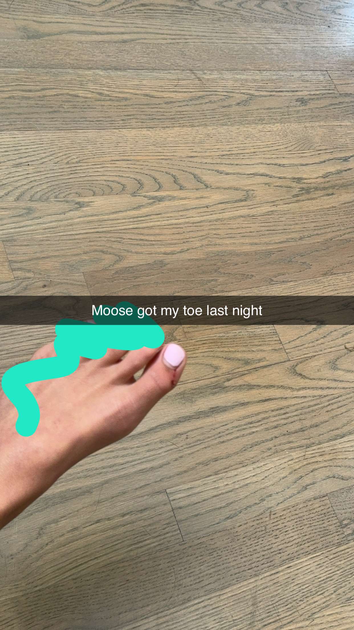 ppwyang0 snapchat image archive image