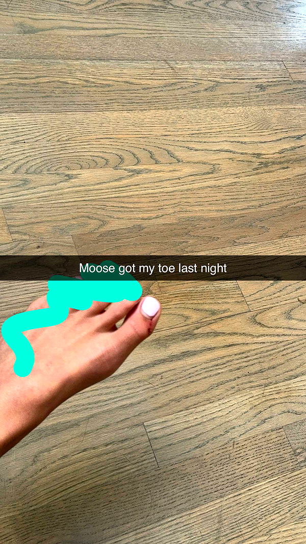 ppwyang0 image ~ Altpins