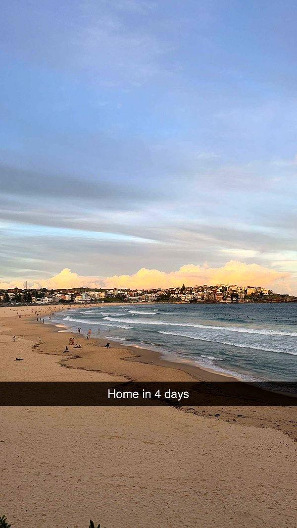 ppwyang0 image ~ Altpins