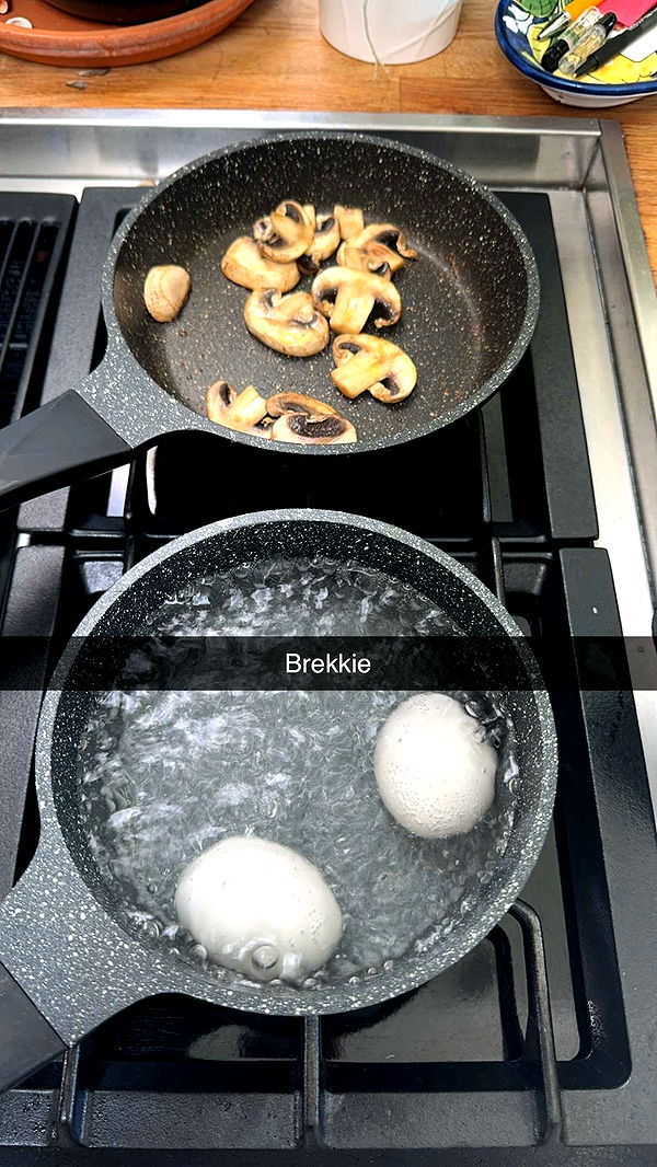 ppwyang0 image ~ Altpins