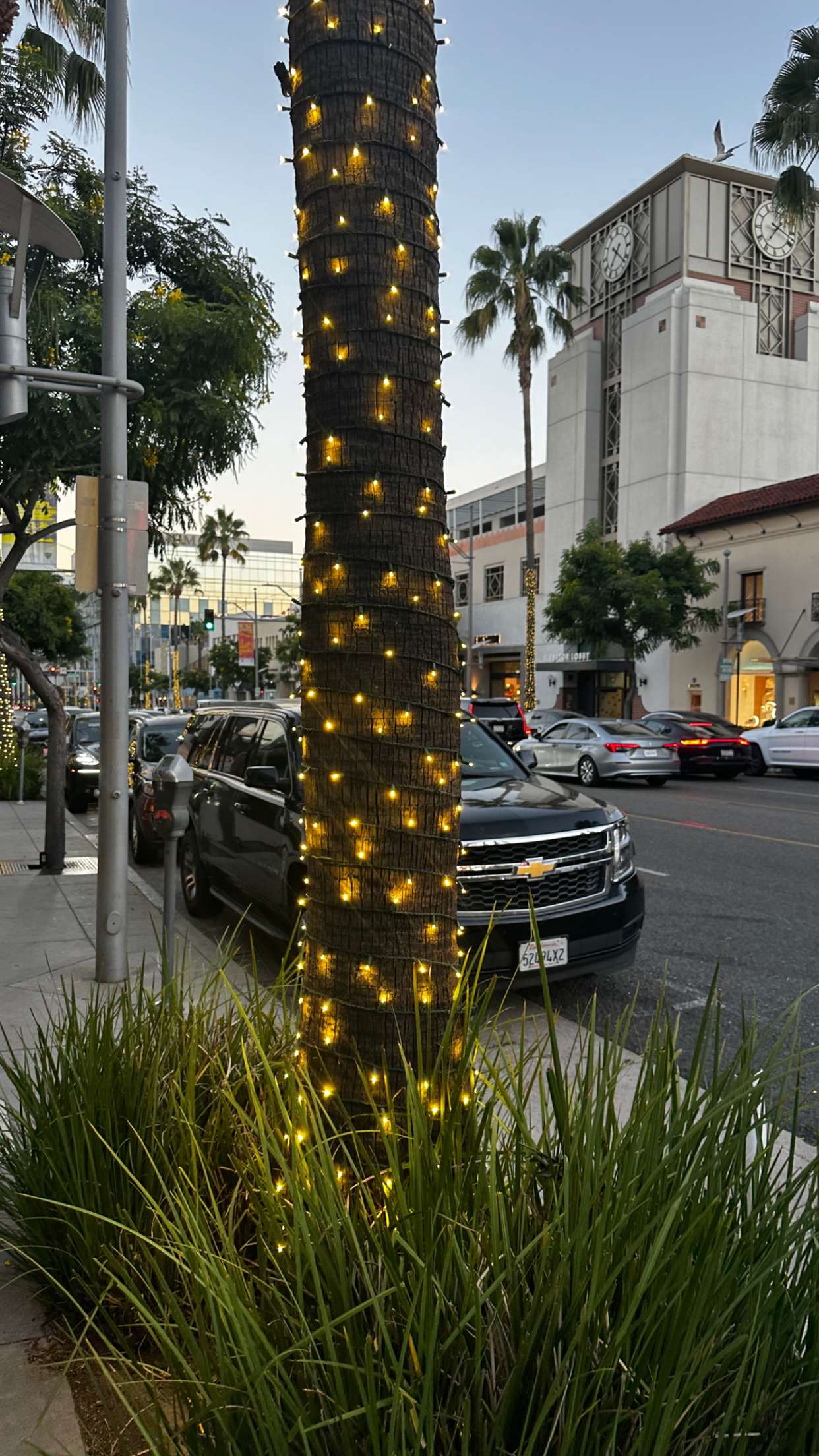 ppwyang0 snapchat image archive image