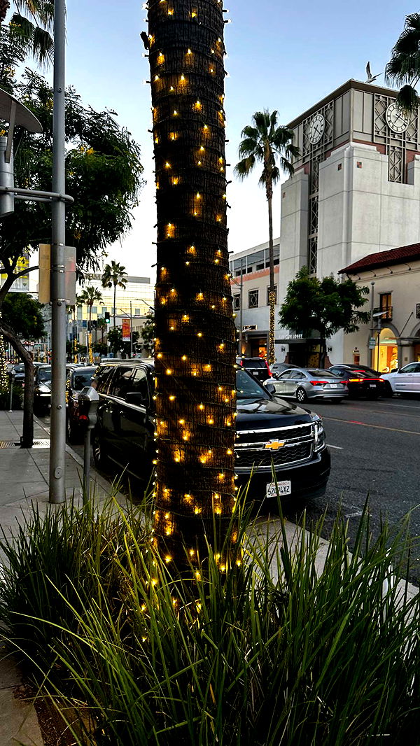 ppwyang0 image ~ Altpins