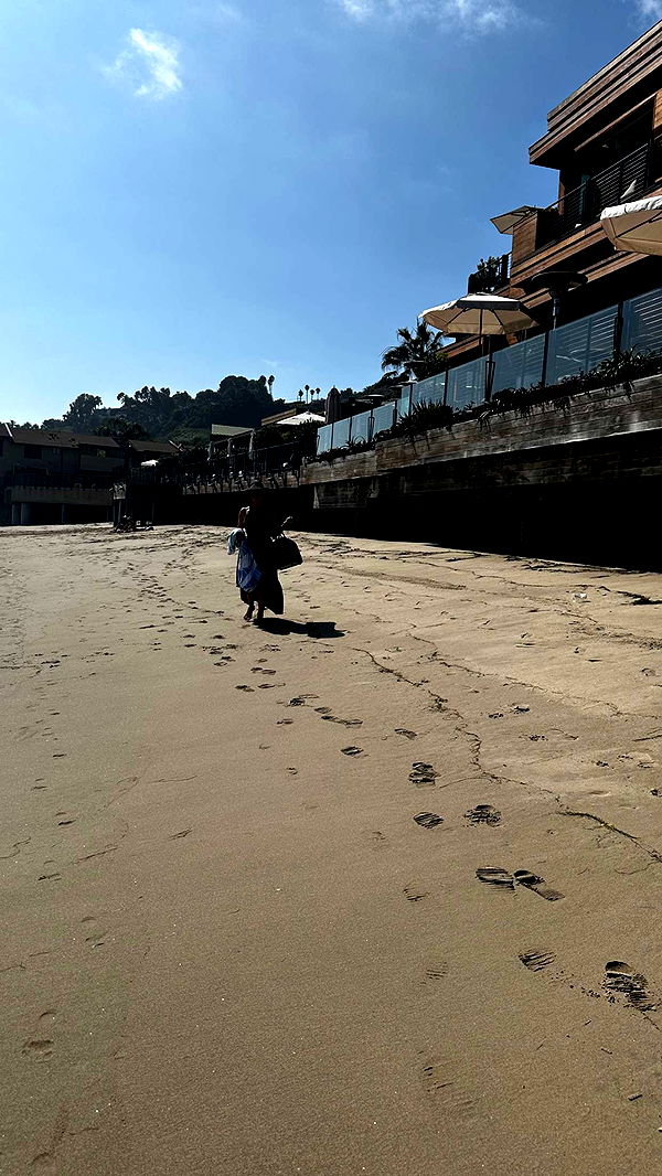 ppwyang0 image ~ Altpins