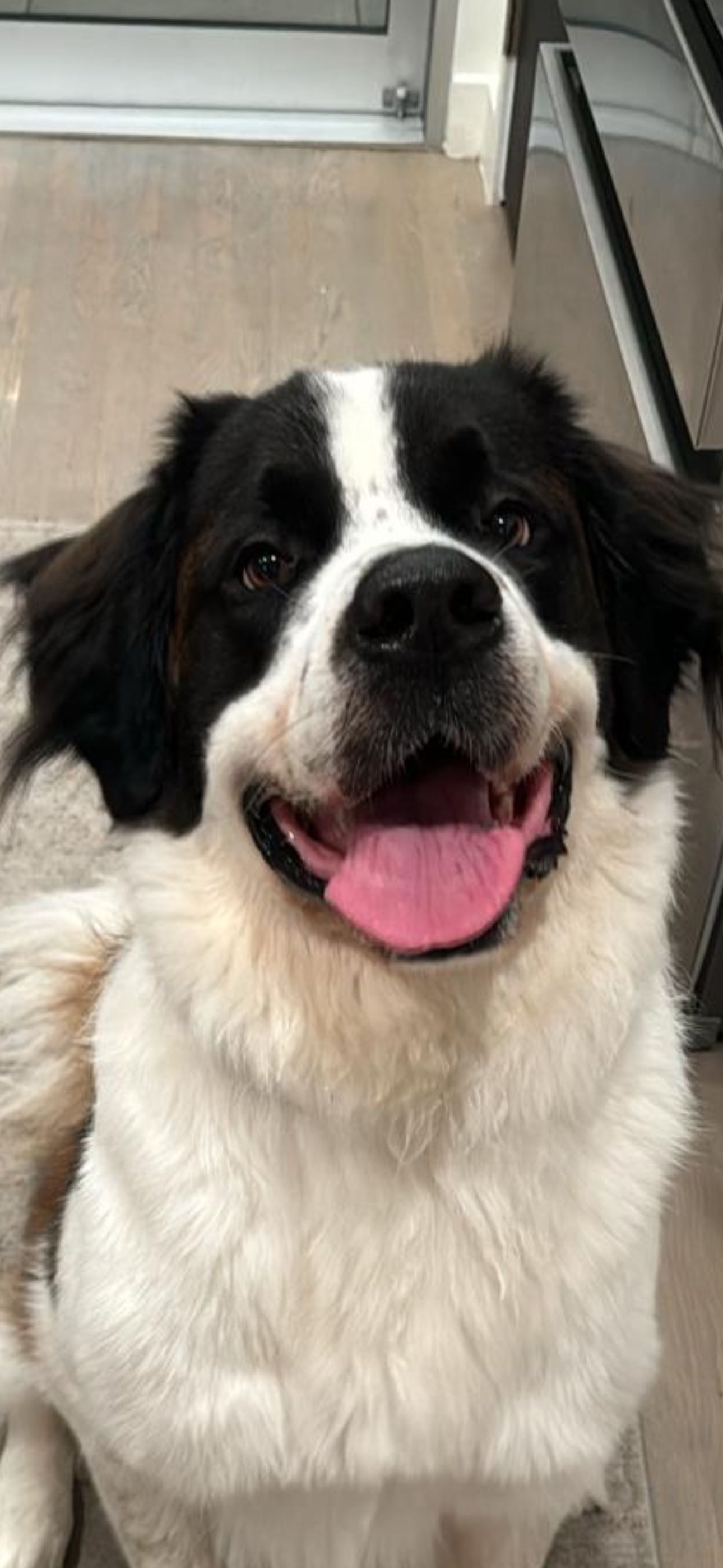 ppwyang0 snapchat image archive image