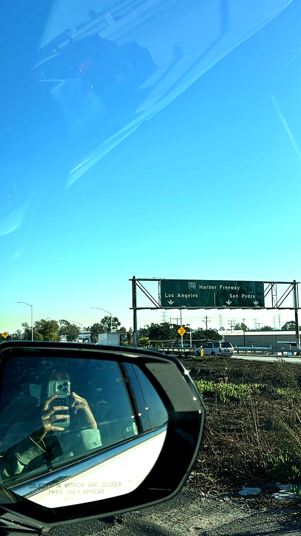 ppwyang0 image ~ Altpins