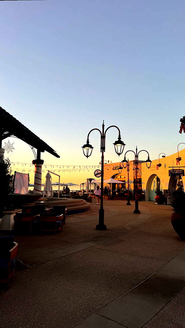 ppwyang0 image ~ Altpins