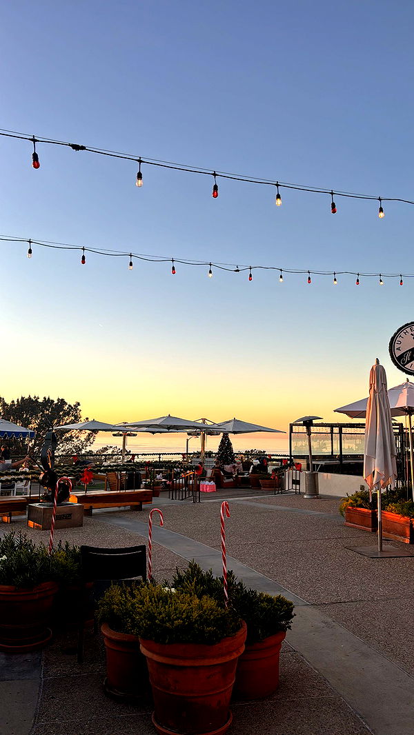 ppwyang0 image ~ Altpins