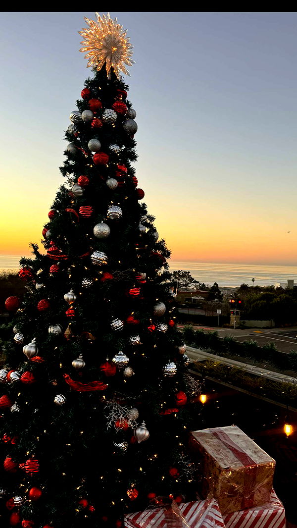 ppwyang0 image ~ Altpins