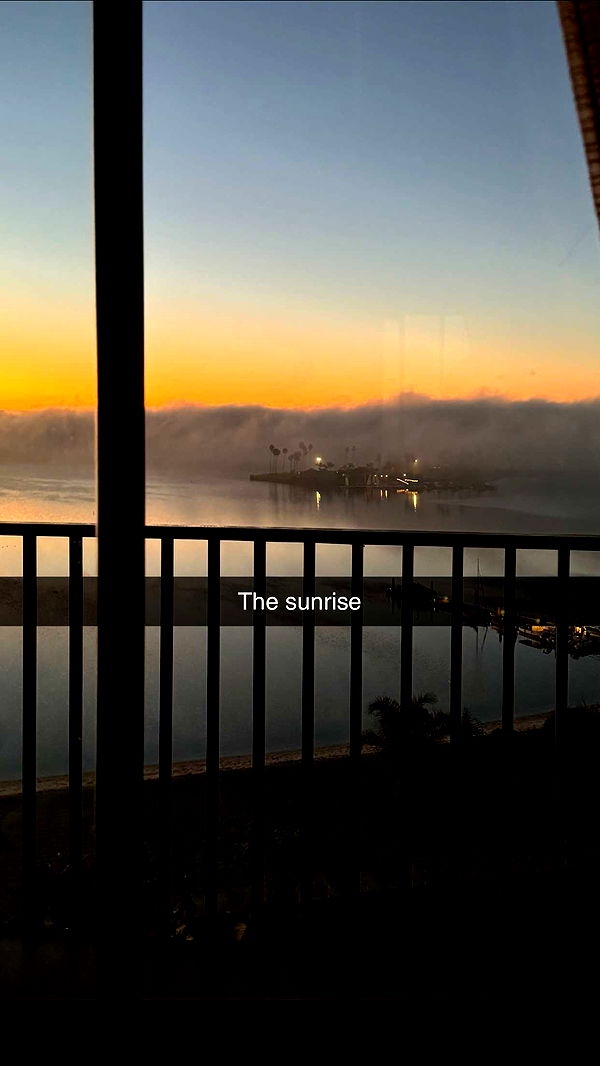 ppwyang0 image ~ Altpins