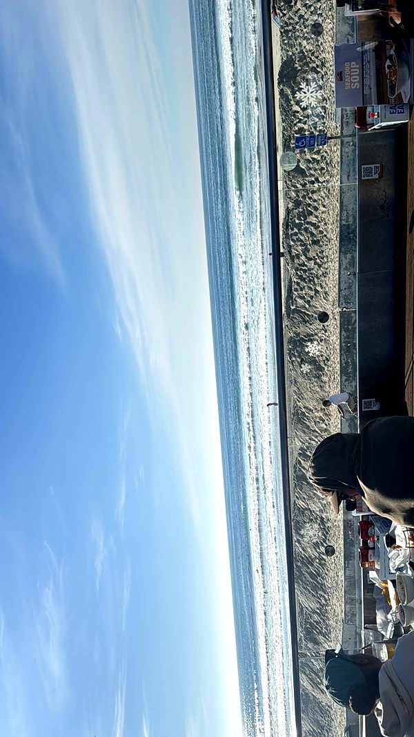 ppwyang0 image ~ Altpins