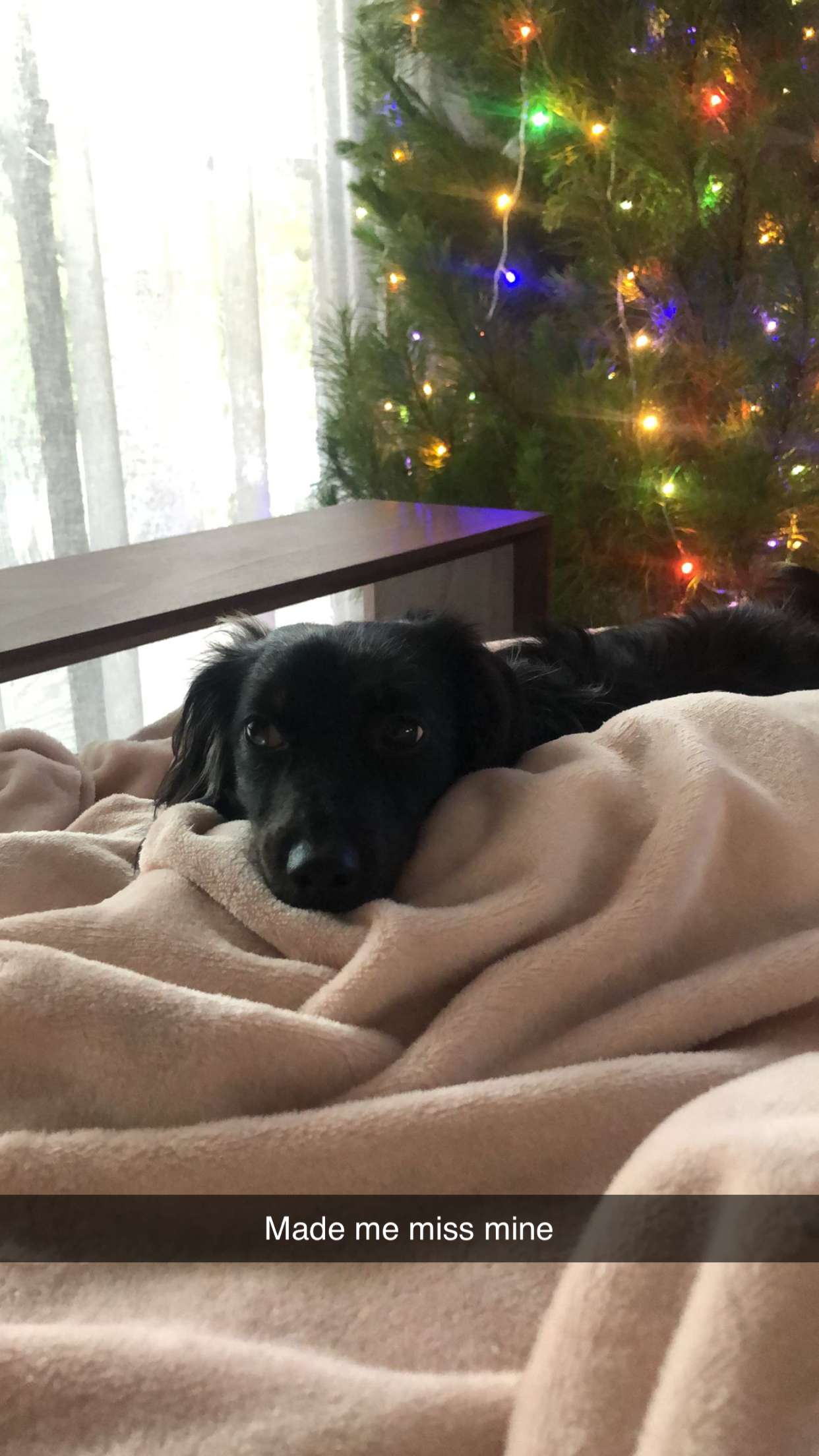 ppwyang0 snapchat image archive image