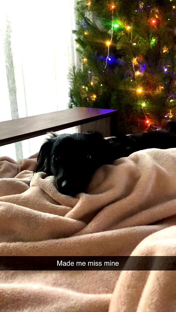 ppwyang0 image ~ Altpins