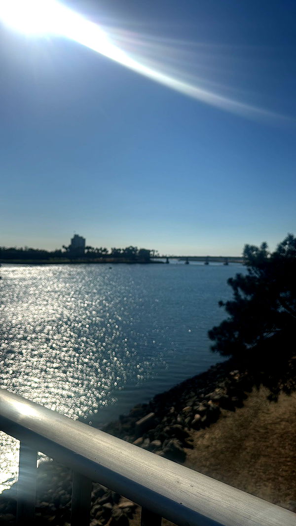 ppwyang0 image ~ Altpins