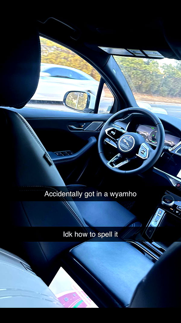 ppwyang0 image ~ Altpins