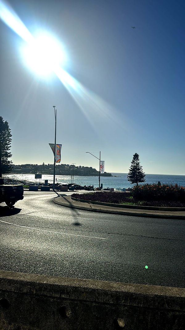 ppwyang0 image ~ Altpins