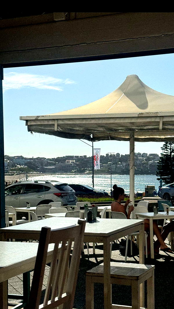 ppwyang0 image ~ Altpins