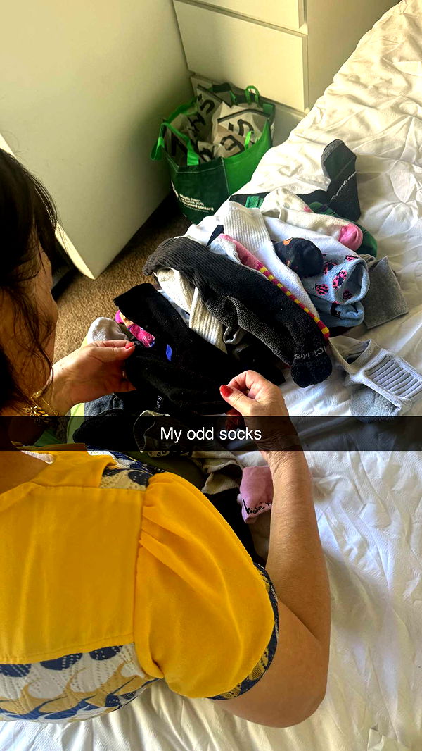 ppwyang0 image ~ Altpins