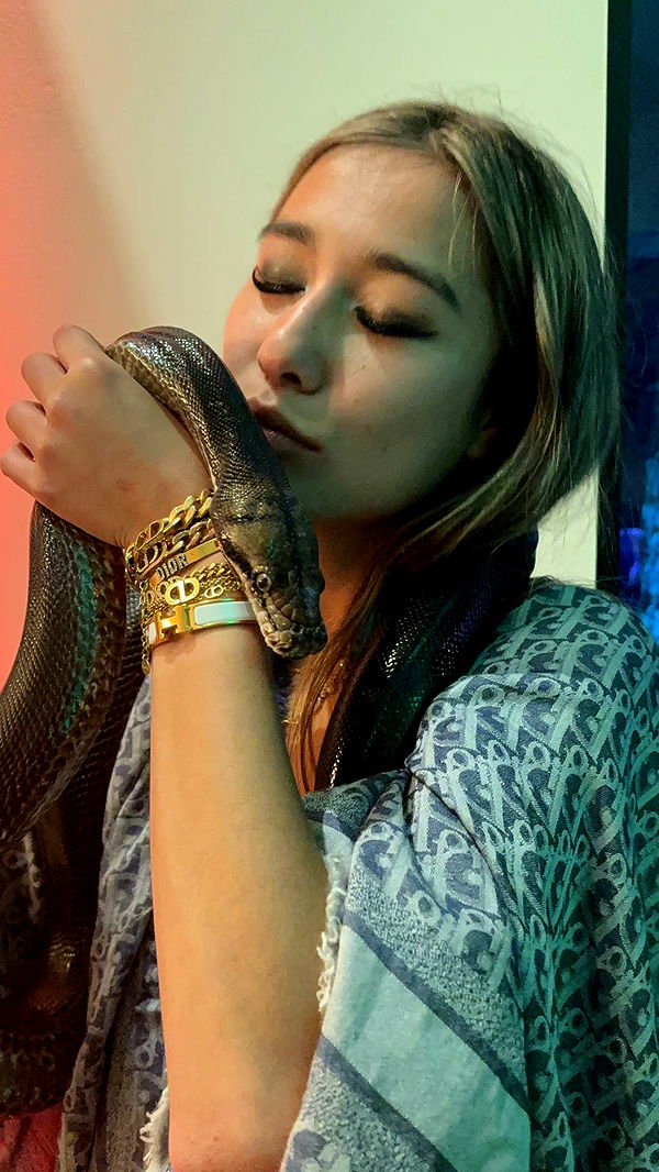 ppwyang0 image ~ Altpins