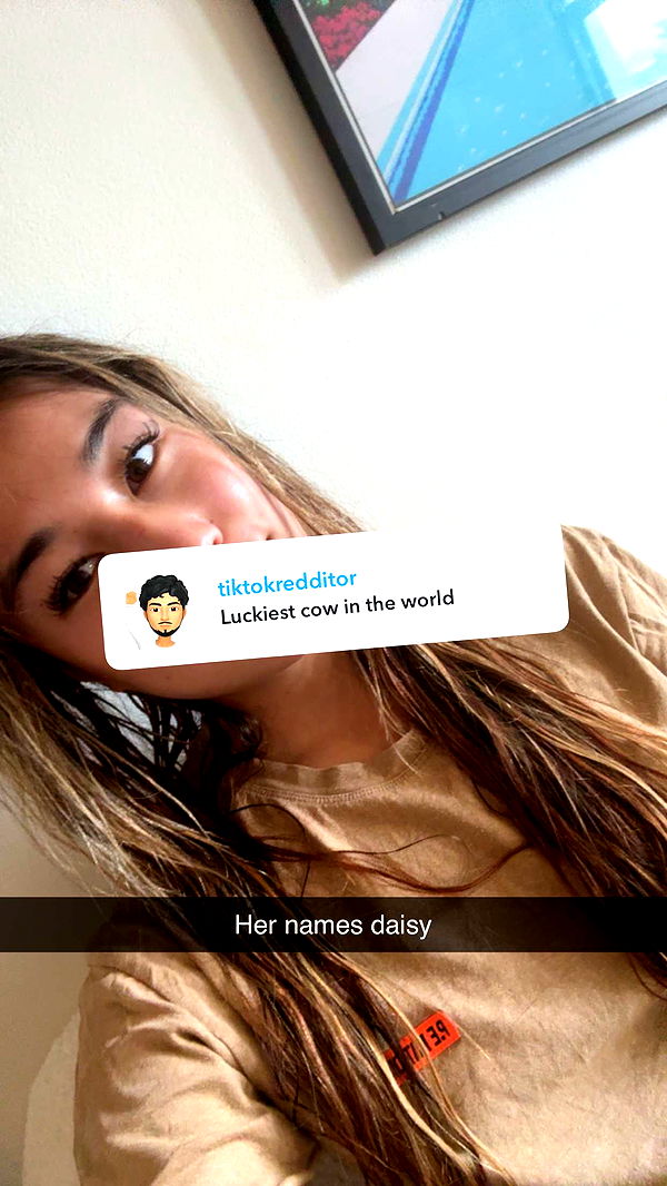 ppwyang0 image ~ Altpins