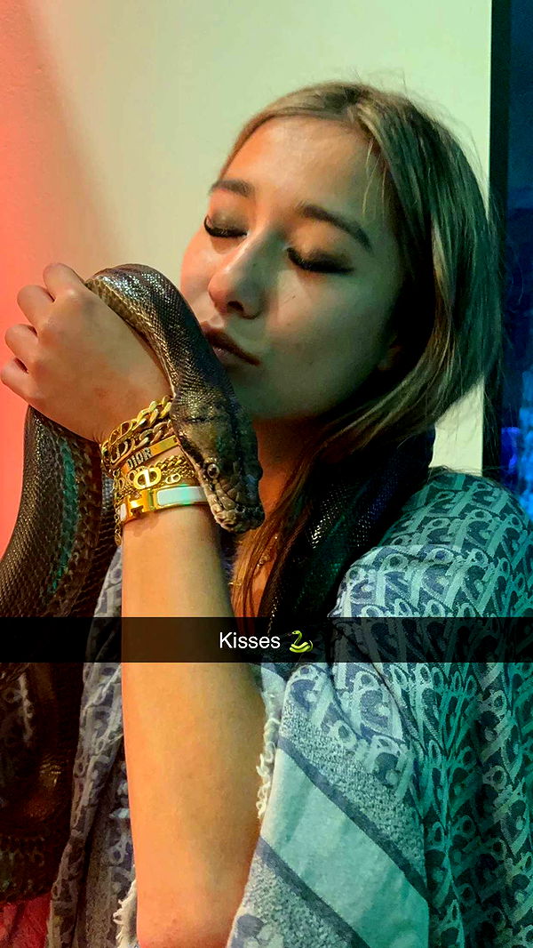 ppwyang0 image ~ Altpins