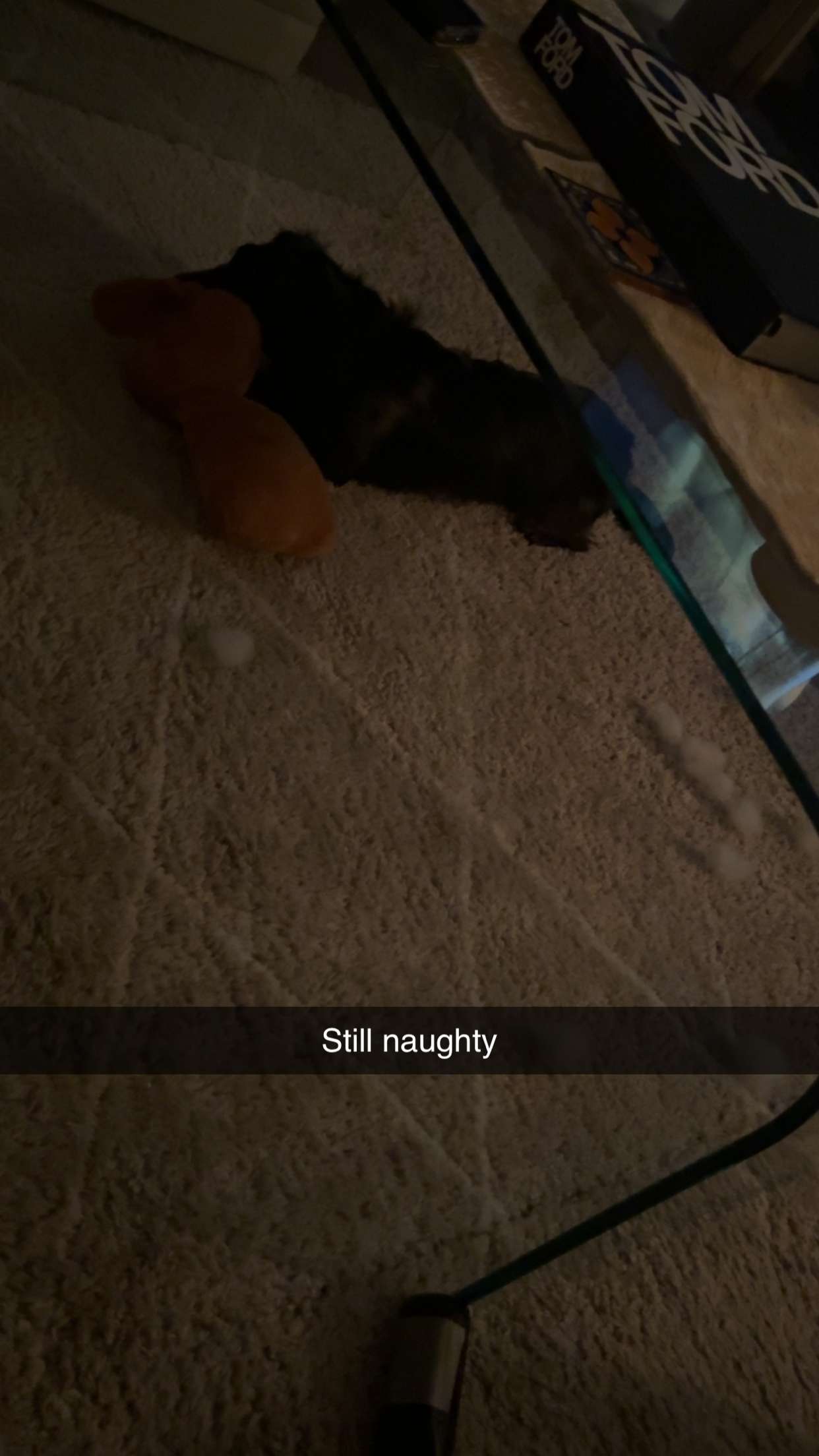 ppwyang0 snapchat image archive image