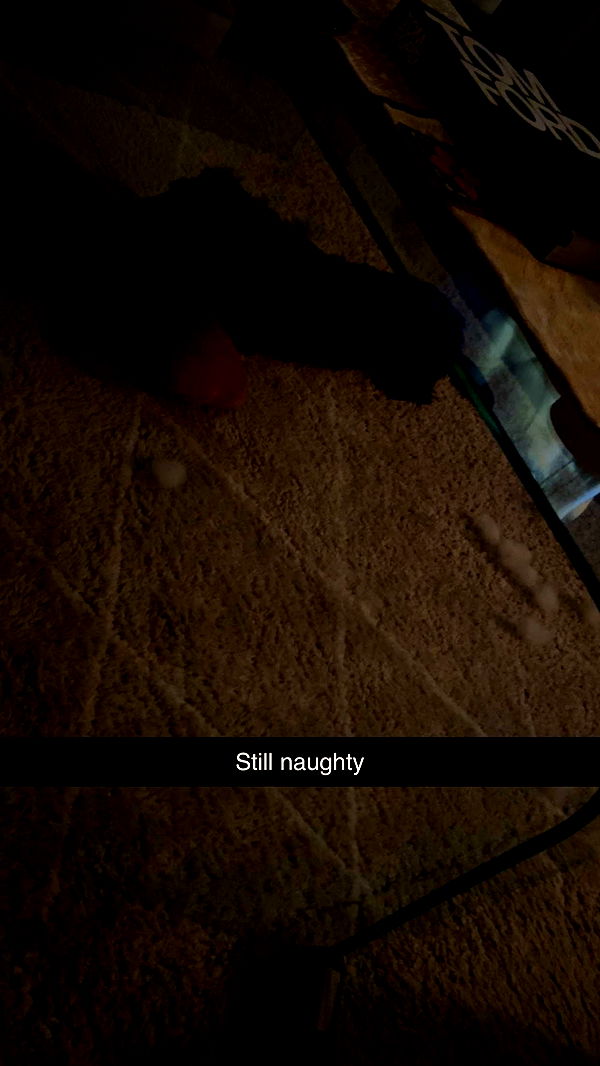 ppwyang0 image ~ Altpins