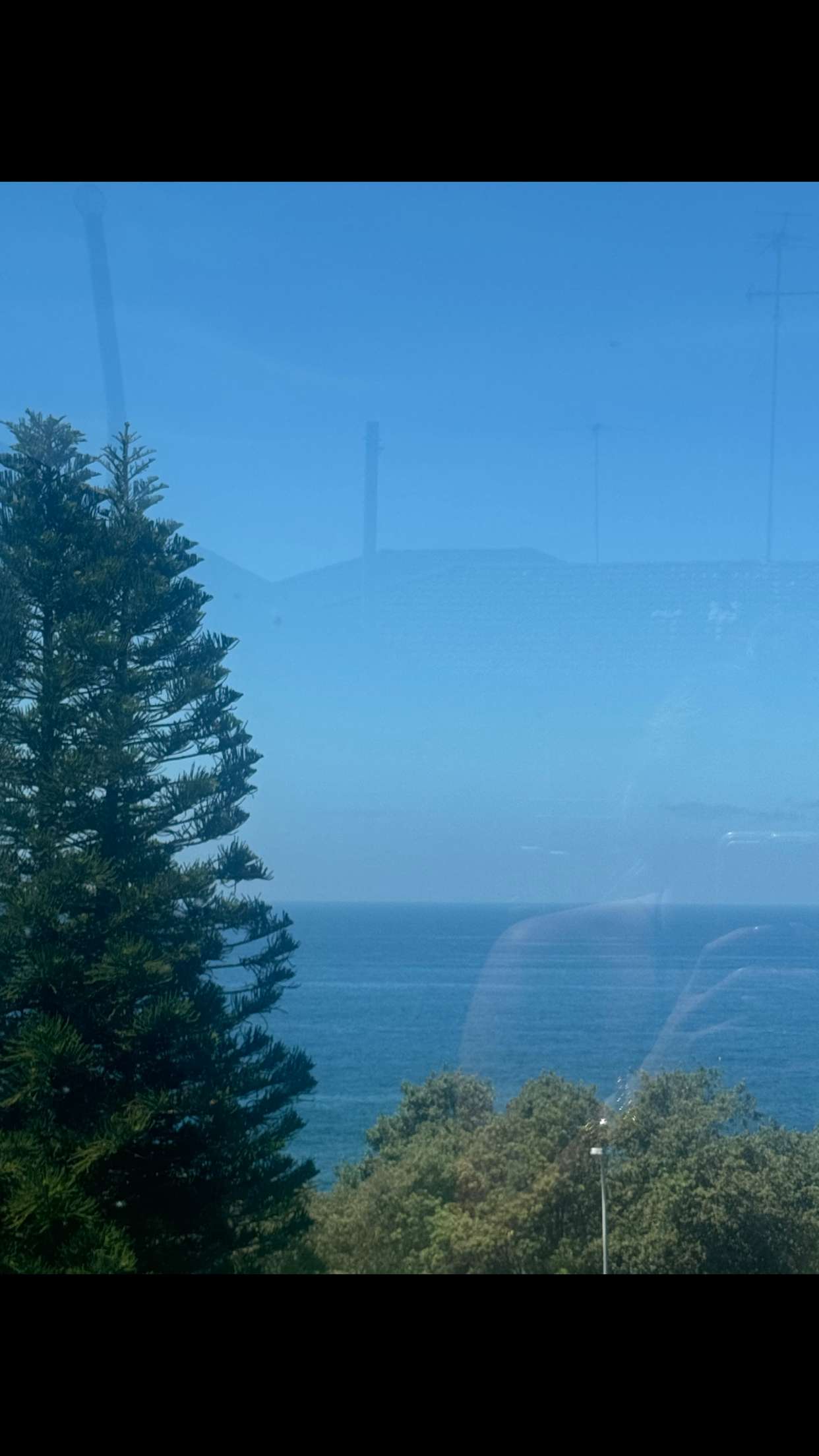 ppwyang0 snapchat image archive image