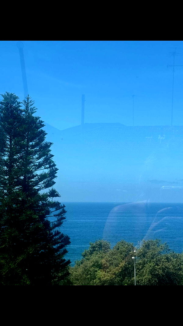 ppwyang0 image ~ Altpins