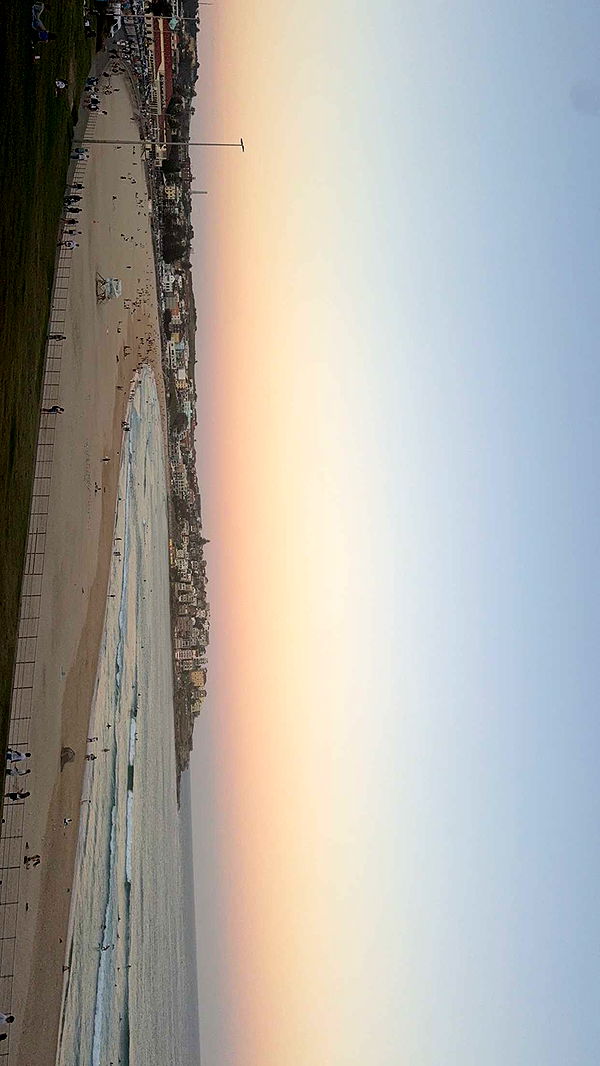 ppwyang0 image ~ Altpins