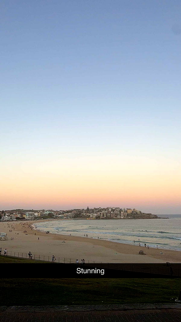 ppwyang0 image ~ Altpins