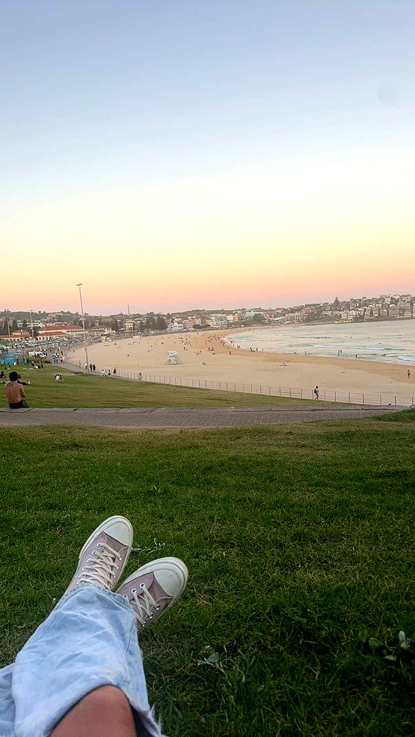 ppwyang0 image ~ Altpins