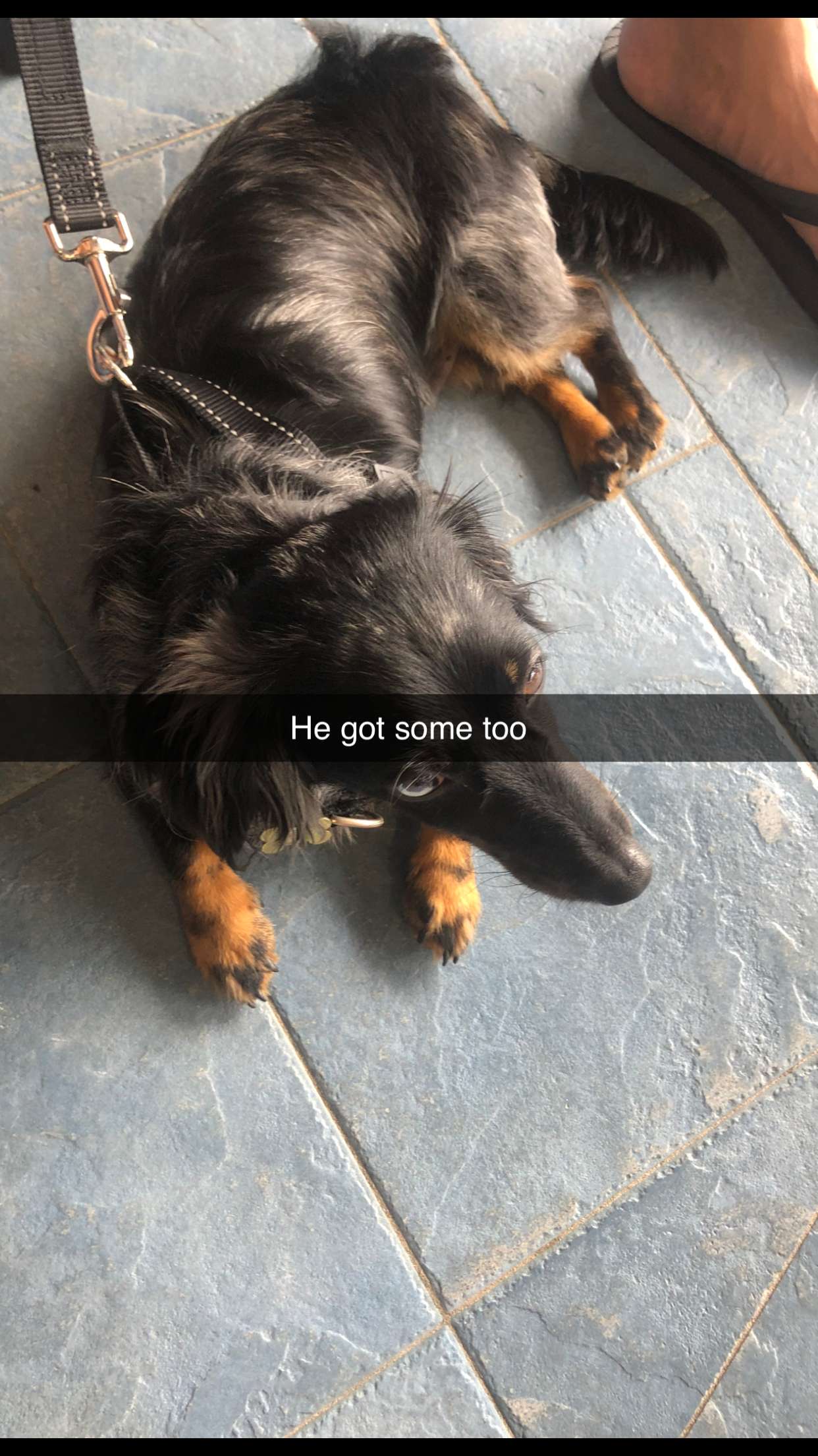 ppwyang0 snapchat image archive image