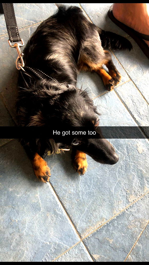 ppwyang0 image ~ Altpins