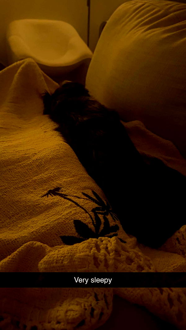 ppwyang0 image ~ Altpins