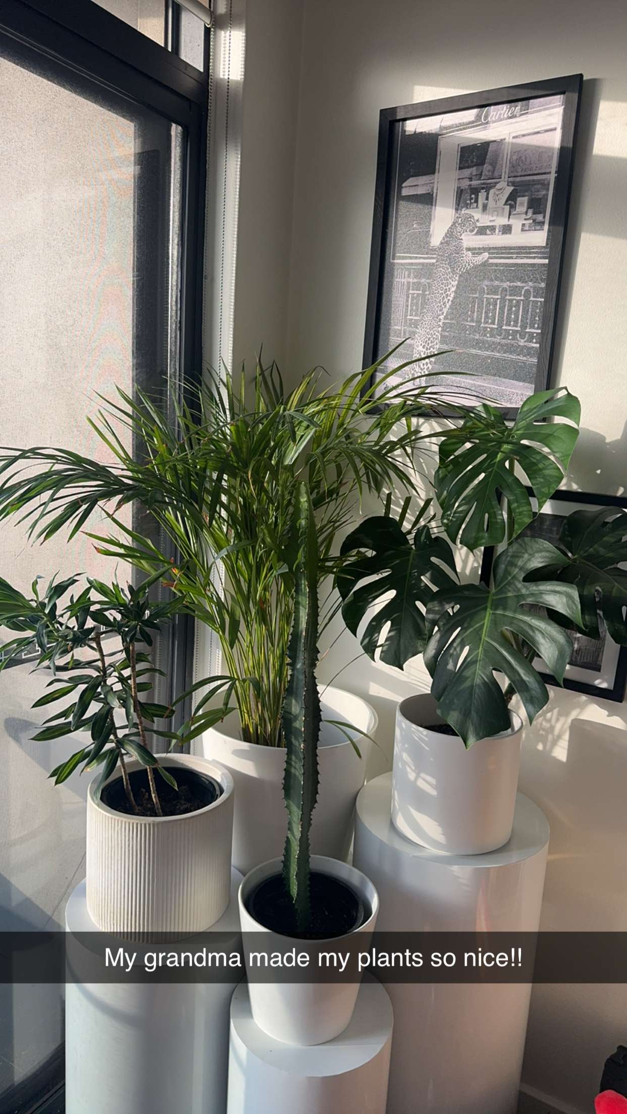 ppwyang0 snapchat image archive image